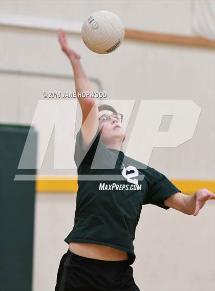 Thumbnail 3 in Overfelt @ Live Oak photogallery.