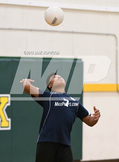 Thumbnail 3 in Overfelt @ Live Oak photogallery.