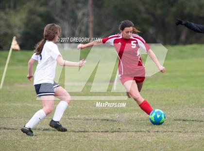 Thumbnail 2 in Pearl River @ Ursuline Academy photogallery.
