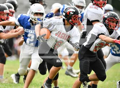 Thumbnail 1 in Holmdel @ Jackson Memorial photogallery.