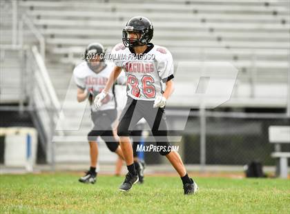 Thumbnail 3 in Holmdel @ Jackson Memorial photogallery.