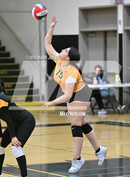 Thumbnail 3 in Goldwater vs. Crismon photogallery.