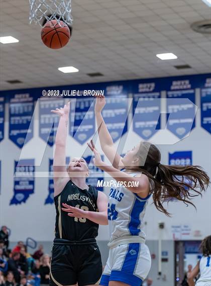 Thumbnail 1 in Noblesville @ Hamilton Southeastern photogallery.