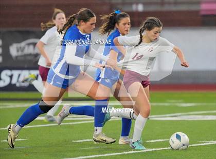 Thumbnail 2 in Seattle Prep vs Mt. Spokane (WIAA 3A Semifinal) photogallery.