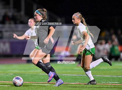 Thumbnail 1 in Southern Columbia Area vs. Wyalusing Valley (PIAA District IV Class A Semifinal) photogallery.