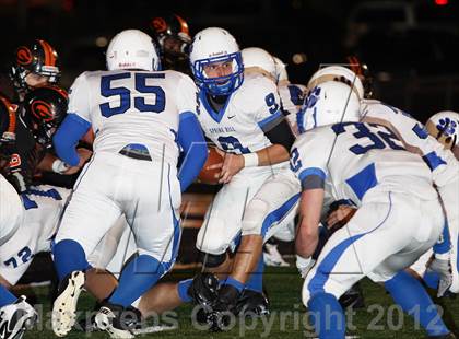 Thumbnail 1 in Spring Hill @ Gilmer photogallery.