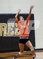 Photo from the gallery "South View @ Gray's Creek"