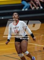 Photo from the gallery "South View @ Gray's Creek"