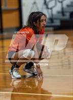 Photo from the gallery "South View @ Gray's Creek"