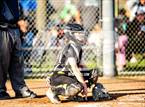 Photo from the gallery "Del Oro @ River City"
