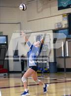 Photo from the gallery "Orland @ West Valley"