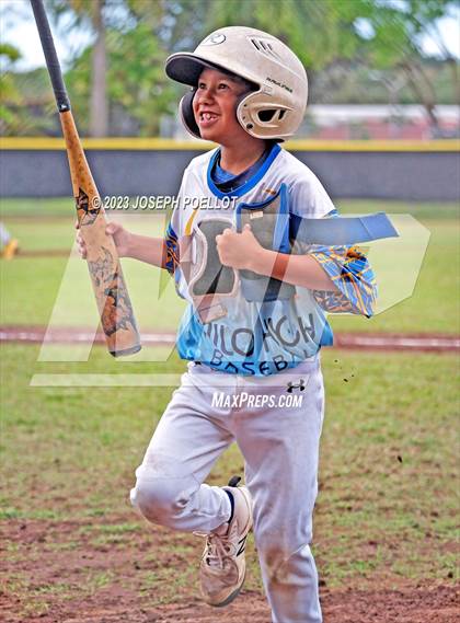 Thumbnail 3 in Kaiser @ Hilo photogallery.