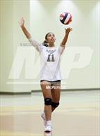 Photo from the gallery "Sprayberry @ Lassiter"