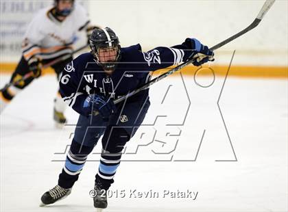 Thumbnail 3 in Wilton @ Amity Regional photogallery.