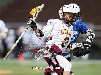 Thumbnail 1 in Brunswick @ Avon Lake photogallery.