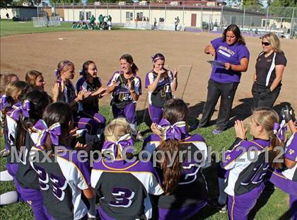 Thumbnail 1 in Livermore @ Amador Valley (CIF NCS D1 Playoffs) photogallery.