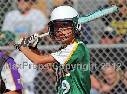 Thumbnail 1 in Livermore @ Amador Valley (CIF NCS D1 Playoffs) photogallery.