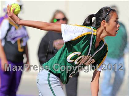 Thumbnail 1 in Livermore @ Amador Valley (CIF NCS D1 Playoffs) photogallery.