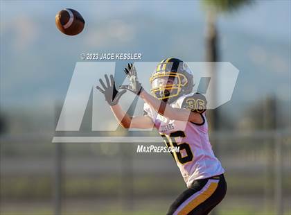 Thumbnail 1 in Ventura @ Rio Mesa photogallery.
