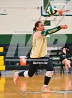 Photo from the gallery "Rosemont @ Argonaut"