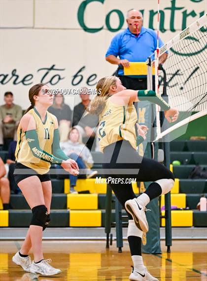 Thumbnail 1 in Rosemont @ Argonaut photogallery.