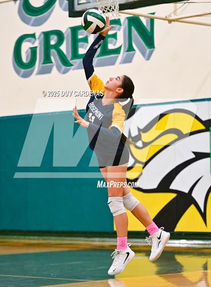 Thumbnail 2 in Rosemont @ Argonaut photogallery.