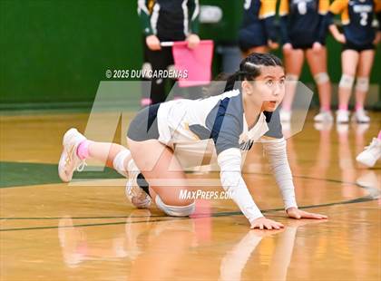 Thumbnail 3 in Rosemont @ Argonaut photogallery.
