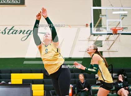 Thumbnail 1 in Rosemont @ Argonaut photogallery.