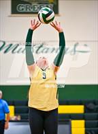 Photo from the gallery "Rosemont @ Argonaut"