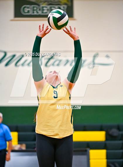 Thumbnail 3 in Rosemont @ Argonaut photogallery.