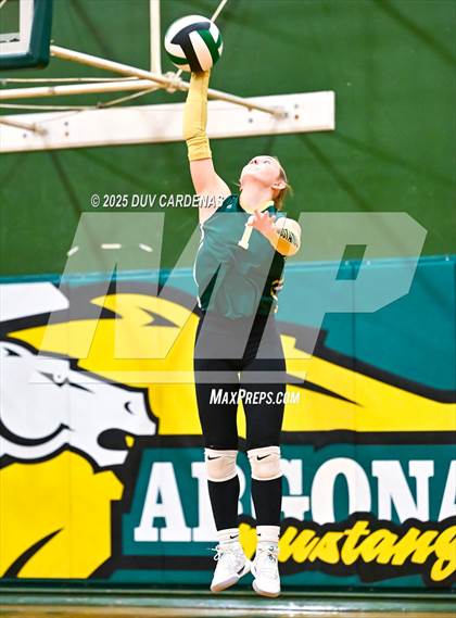 Thumbnail 1 in Rosemont @ Argonaut photogallery.