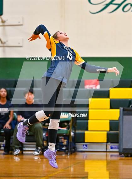 Thumbnail 2 in Rosemont @ Argonaut photogallery.