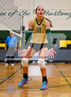 Photo from the gallery "Rosemont @ Argonaut"