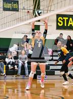 Photo from the gallery "Rosemont @ Argonaut"