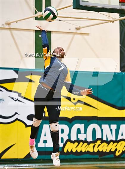Thumbnail 2 in Rosemont @ Argonaut photogallery.
