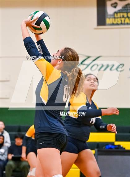 Thumbnail 3 in Rosemont @ Argonaut photogallery.