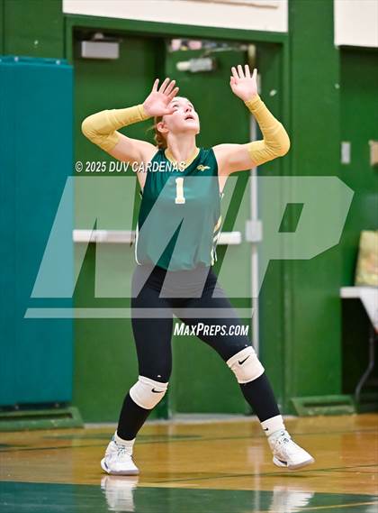Thumbnail 2 in Rosemont @ Argonaut photogallery.