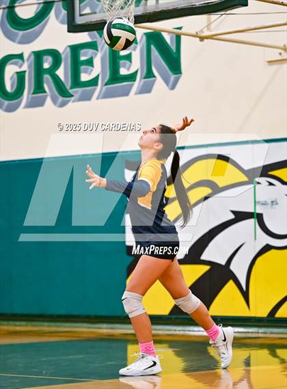 Thumbnail 1 in Rosemont @ Argonaut photogallery.