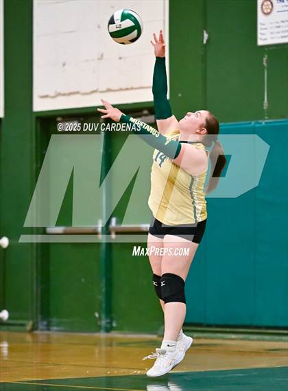 Thumbnail 3 in Rosemont @ Argonaut photogallery.