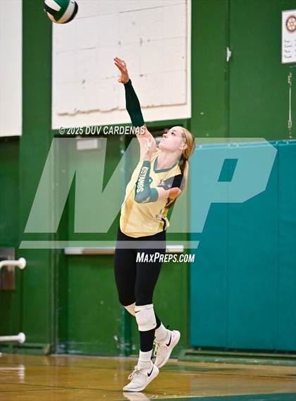Thumbnail 3 in Rosemont @ Argonaut photogallery.