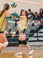 Photo from the gallery "Rosemont @ Argonaut"