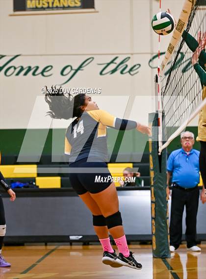 Thumbnail 1 in Rosemont @ Argonaut photogallery.
