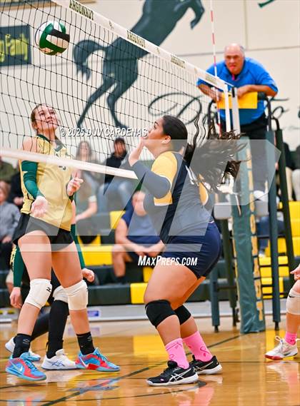 Thumbnail 3 in Rosemont @ Argonaut photogallery.