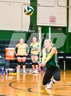 Photo from the gallery "Rosemont @ Argonaut"