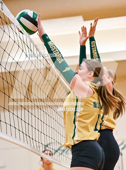 Thumbnail 1 in Rosemont @ Argonaut photogallery.
