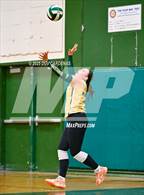 Photo from the gallery "Rosemont @ Argonaut"