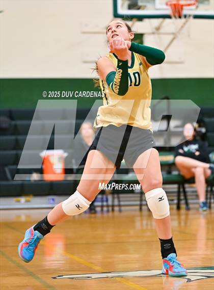 Thumbnail 3 in Rosemont @ Argonaut photogallery.