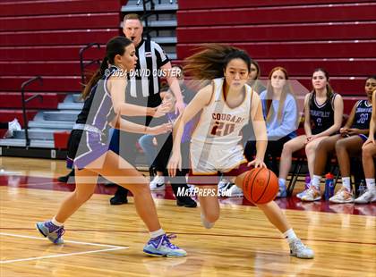 Thumbnail 2 in Chantilly @ Oakton (VHSL Class 6 Region D Region Semifinal) photogallery.