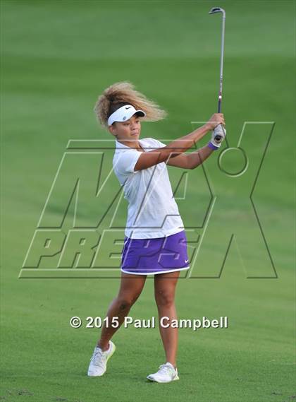 Thumbnail 3 in Horizon @ Desert Mountain photogallery.