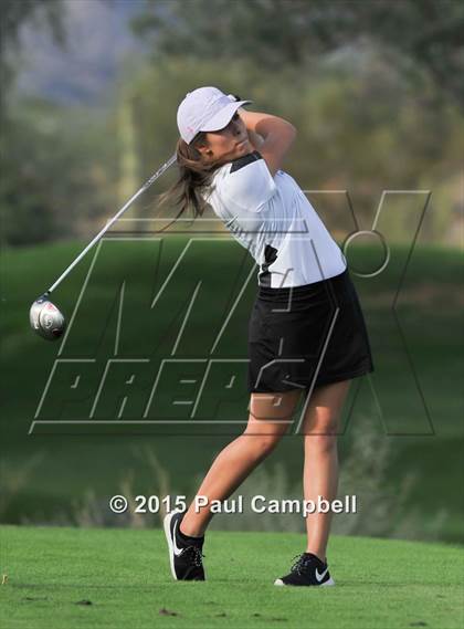 Thumbnail 2 in Horizon @ Desert Mountain photogallery.